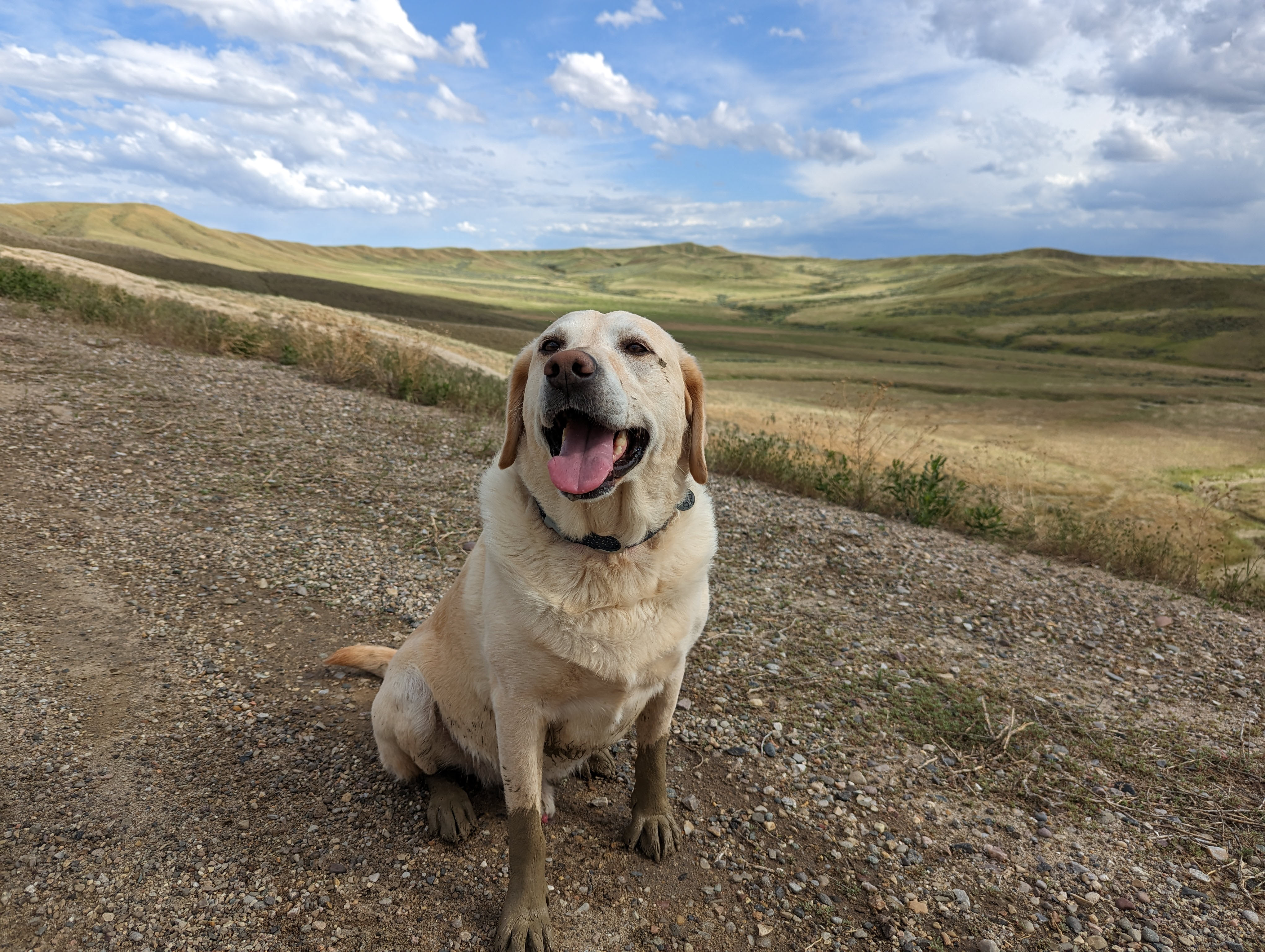 Muddy Paws and Derp Muddy Paws and Derp
